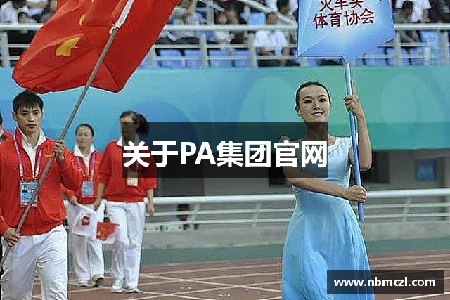 关于PA集团官网